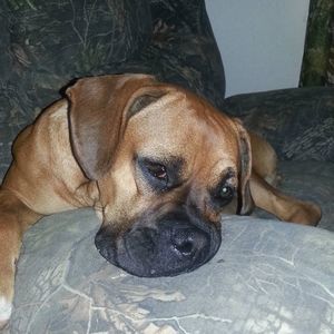 Meet your Posher, Regina